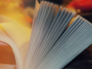 Read more about the article Housekeeping, Reminders and Updates – April 2017